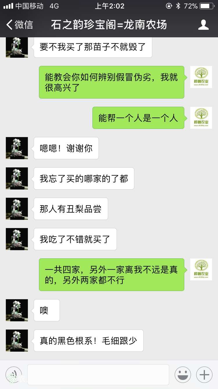 023719itzrw7kwtirjocit.jpg