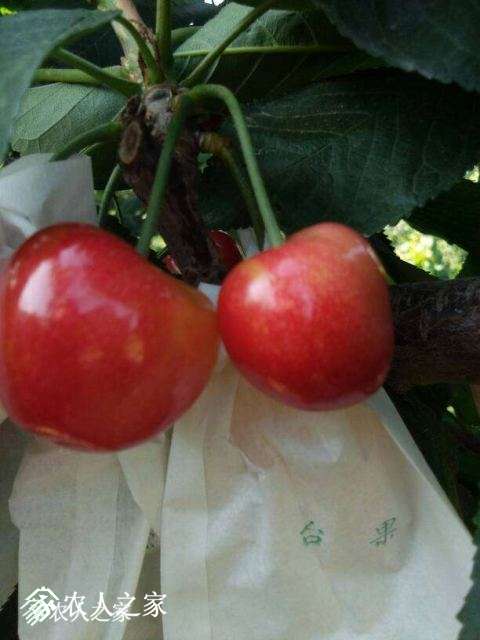 Ѻ죨ӣ6.jpg