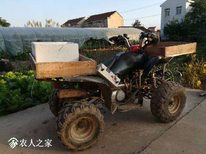 154524tuachhmd3lcp4p3u.jpg