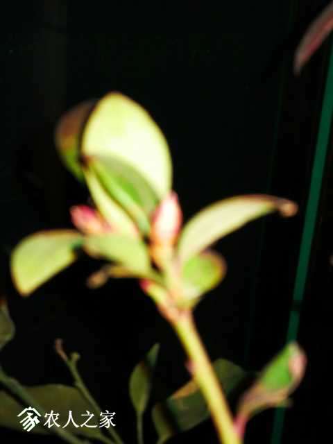 IMG_20171213_174245.jpg