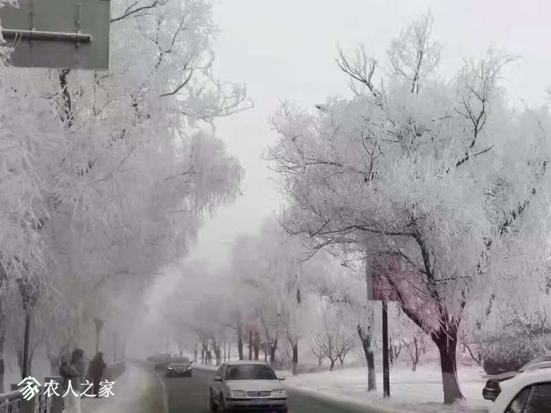 201136v111uu11m3yu00m6.jpg
