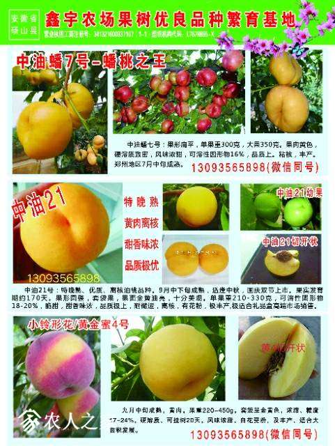 055633sai7pek2p2s22p6j.jpg