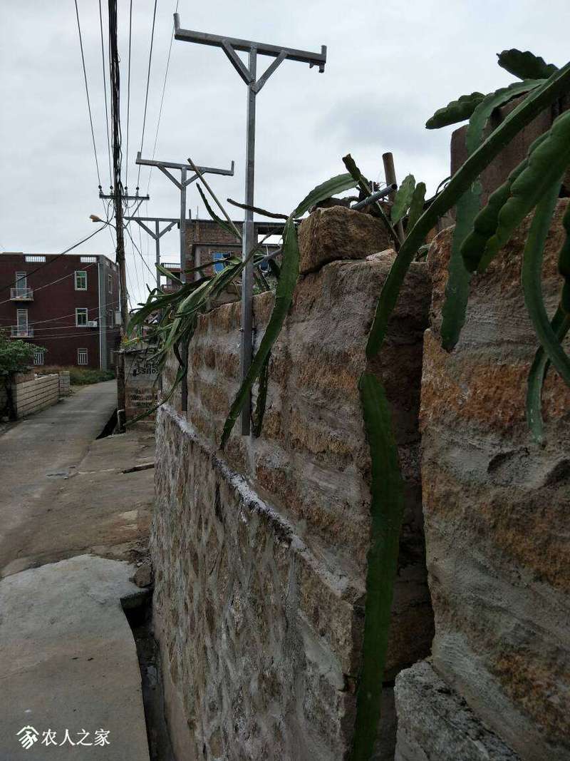 102506prreeiqxfxvsetqx.jpg