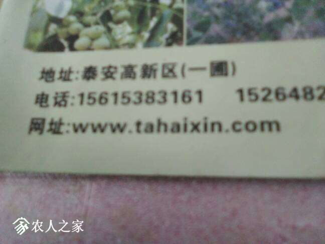 135954vvyy3e7ax518ggay.jpg