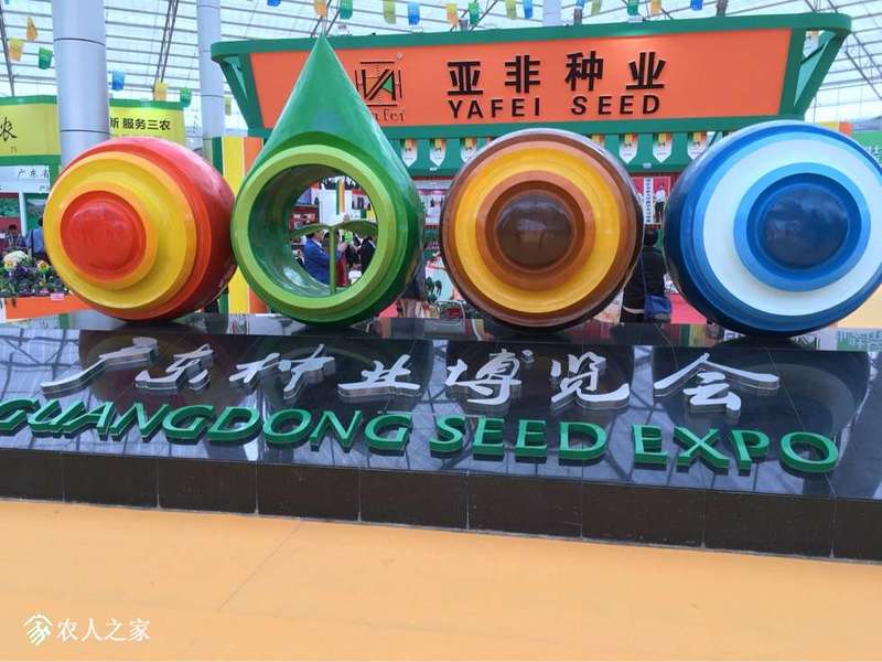 230658wgczh1qcg13q55qb.jpg