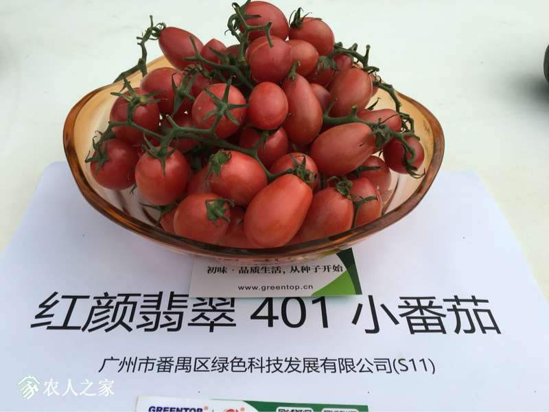 231011an1tcel11ntu2g2w.jpg
