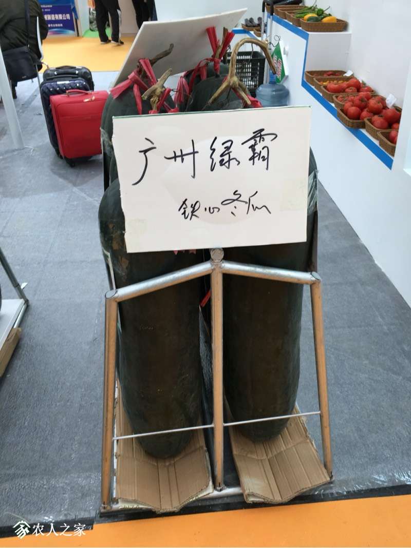 113259xlkllvk5eeriykhl.jpg