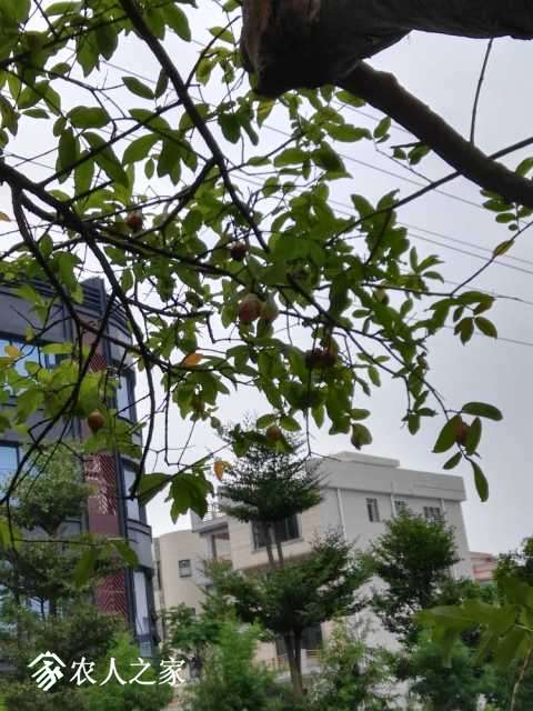 IMG_20170826_103410.jpg