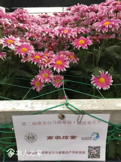 0B5365D4-FFDB-4A19-8E1E-976722FE3071.jpeg