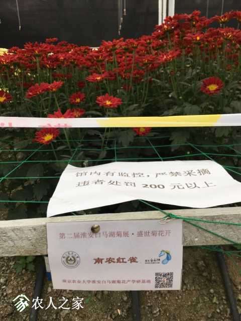 1A511FF6-9FD6-45EE-AE1B-C2CB824D8D15.jpeg