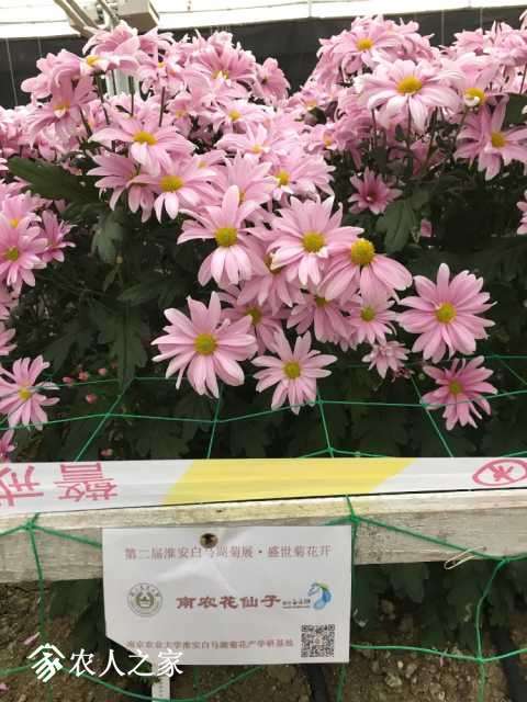 0D51A0C9-BD53-45F4-82E0-51DC56461B9D.jpeg