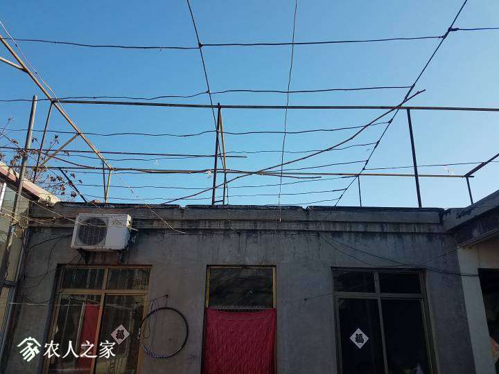 131354vhfw995afhdkidqa.jpg
