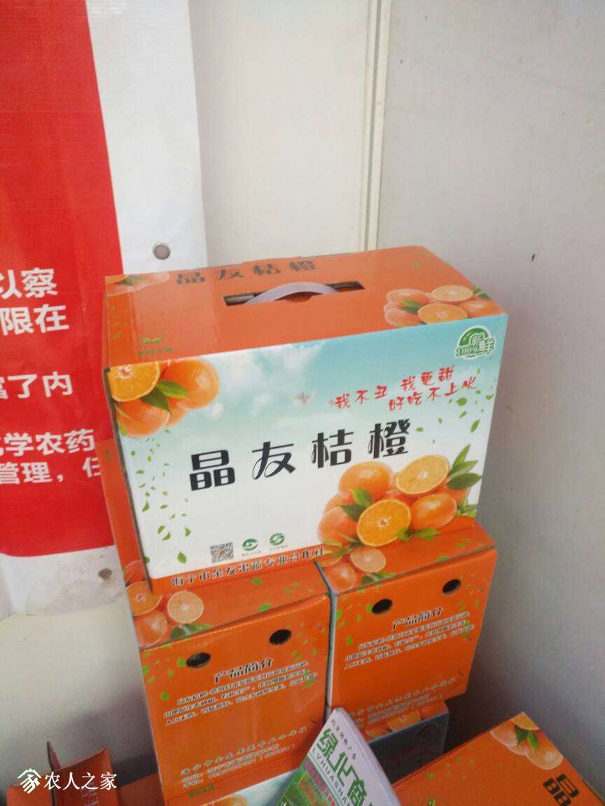 153610dh4ggwvhzghn9wgn.jpg