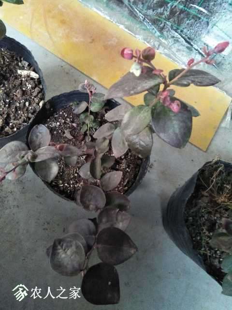 IMG20171216162922.jpg