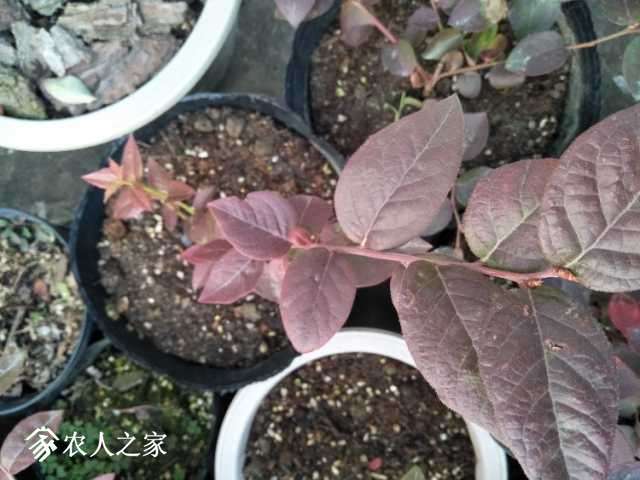 IMG20171216163012.jpg