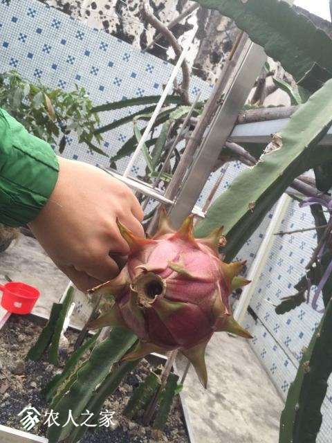 ΢��ͼƬ_20171216221032.jpg