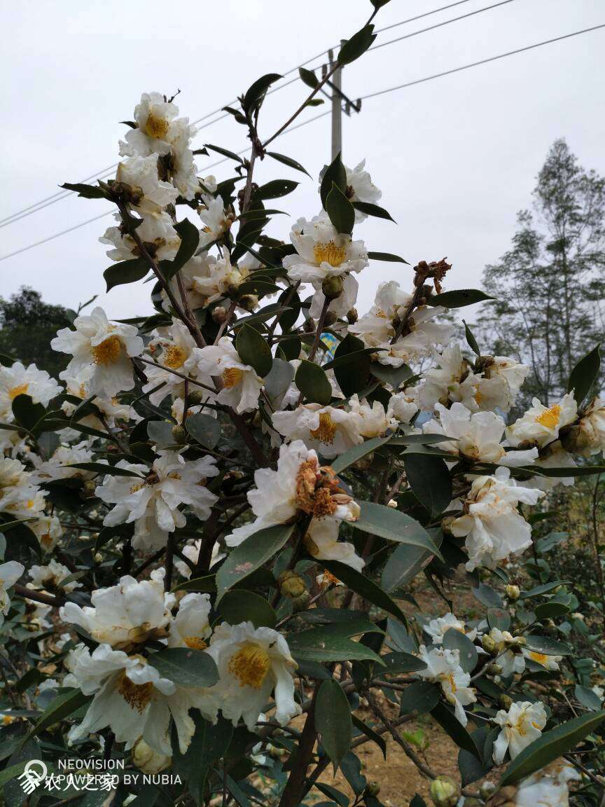 042159up86jytqjttyh0jt.jpg