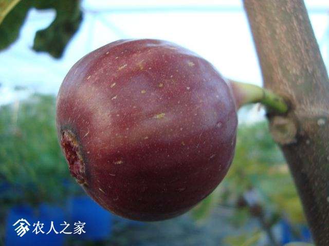 DSC02774.JPG