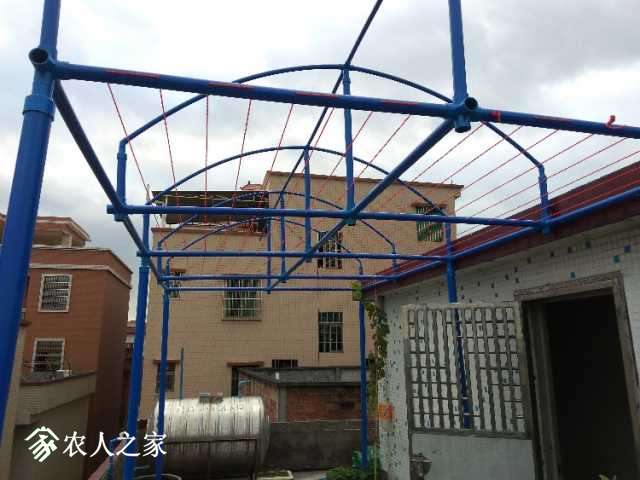 IMG_20171216_163933.jpg