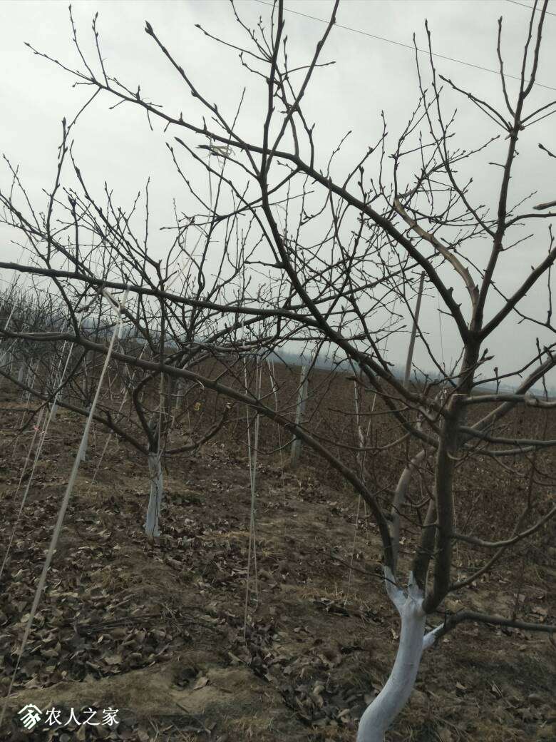 184228ofp366yjysnpoyi4.jpg