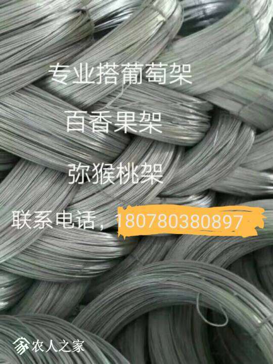 185601asiogxixyfpwoiya.jpg