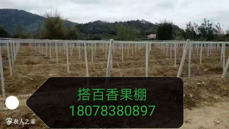 185601c3mldobb8a3vz3hv.jpg