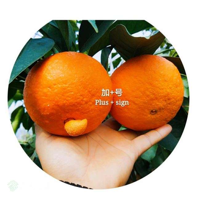 ΢ͼƬ_201712172001017.jpg