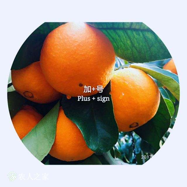 ΢ͼƬ_201712172001018.jpg