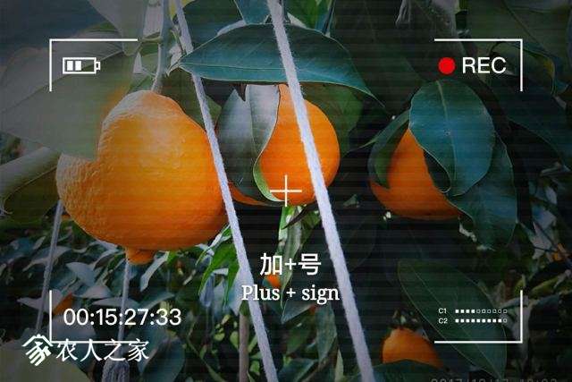 ΢ͼƬ_201712172001016.jpg