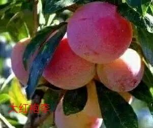 002337k6j2ksa7sr37smit.jpg