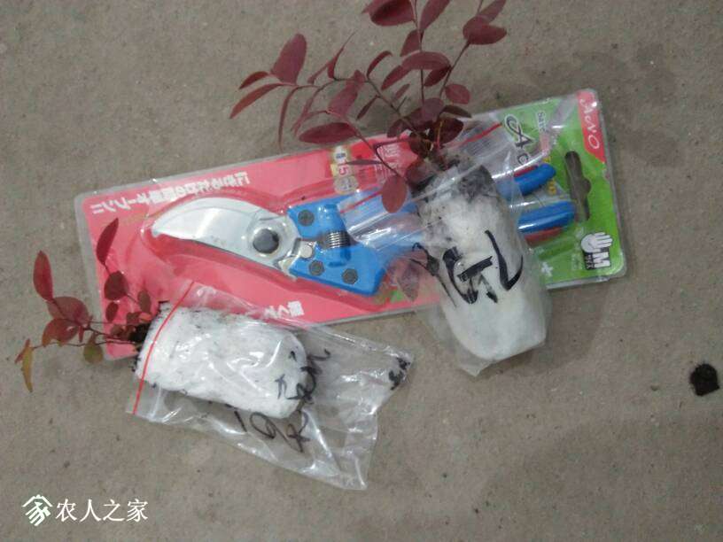 094100m8p33dp3pzapz1xp.jpg