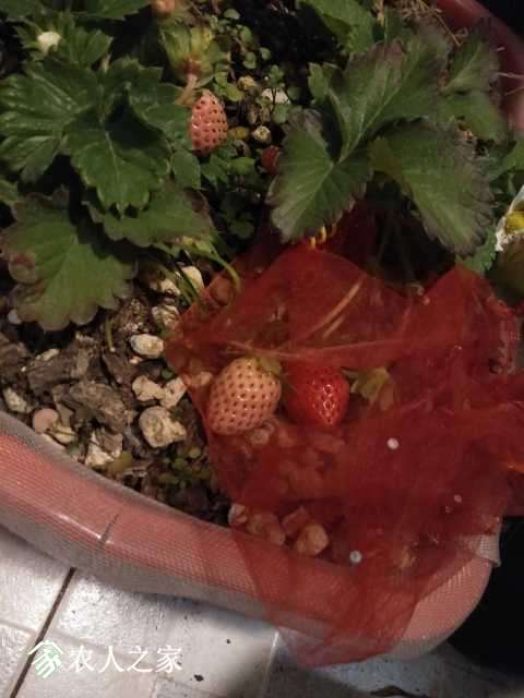 IMG20171216184214.jpg