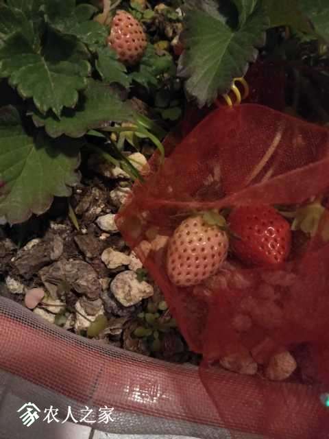 IMG20171216184255.jpg