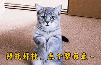 145624iqbvovxs2oohobqx.gif
