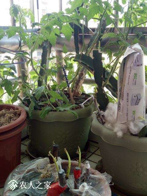 IMG20171218114301.jpg