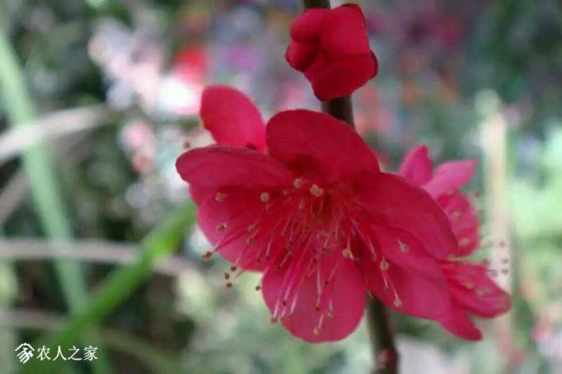 202053z5jl3lrll18ajtrf.jpg