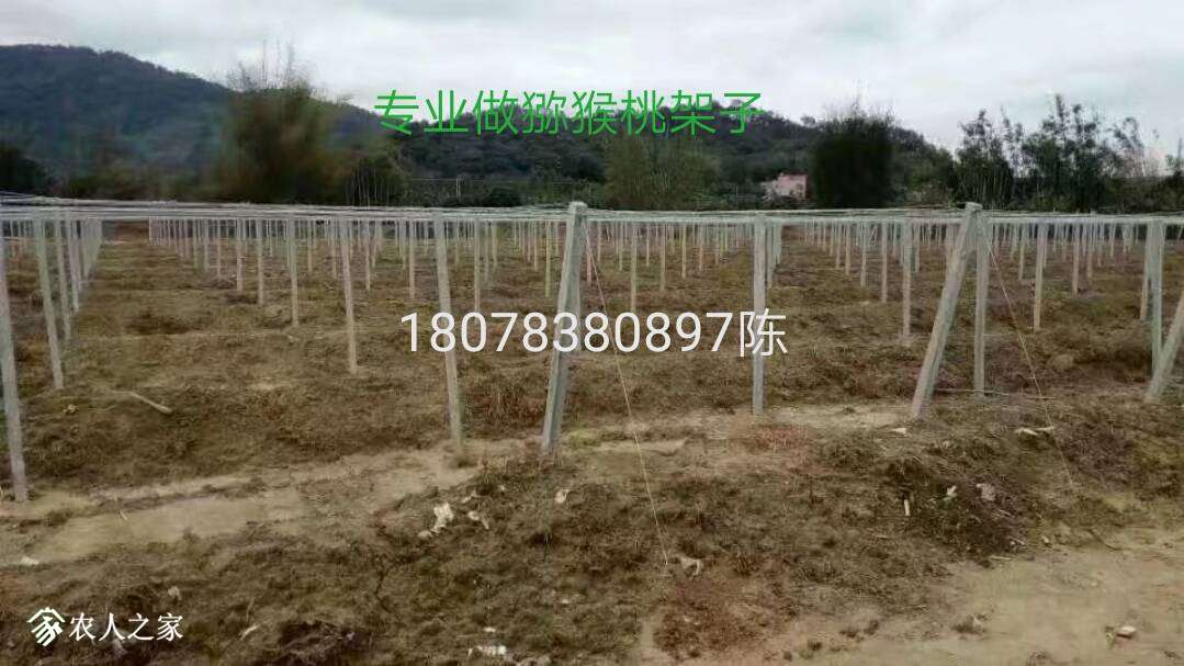 082240krch4cwum3c5zl9u.jpg
