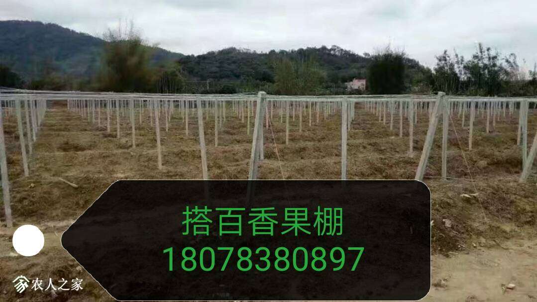 082240q7551y9n5bk11rnf.jpg