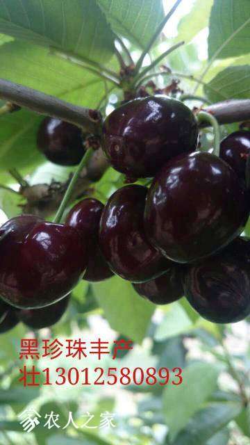 173531lwq0sqqlmwmswrqv.jpg