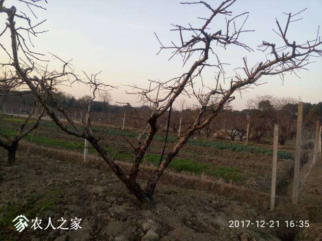 175104jtvxdhxl5tuq5xvt.jpg