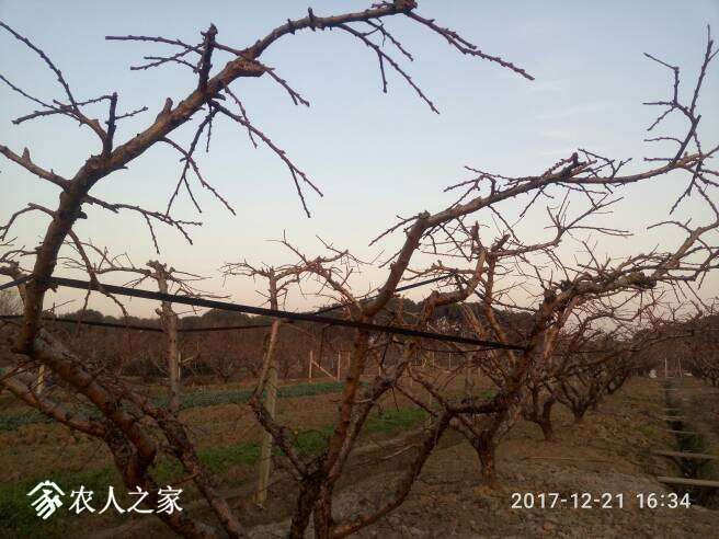 175106hcc8or58w9zc5nok.jpg