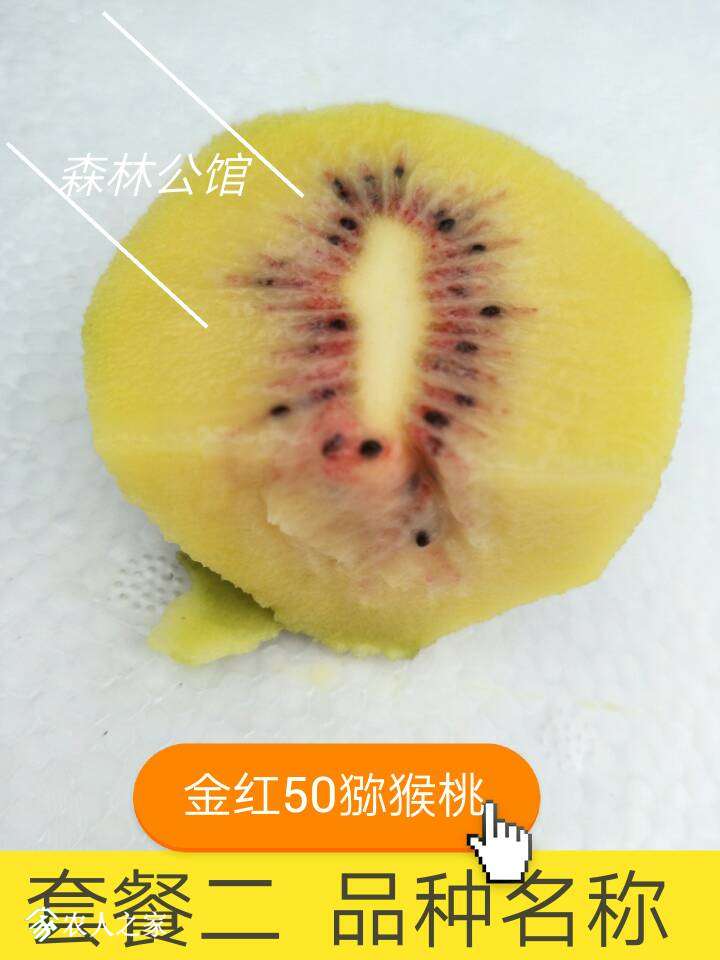 211425rp3gs23g484s6pbz.jpg
