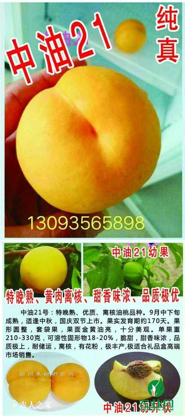 225048lc9gz9g9cej5fcjj.jpeg
