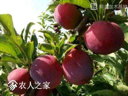 231147j94r2957fjlfj97r.jpg