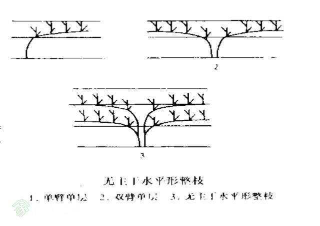 6361802589574322196263079.jpg