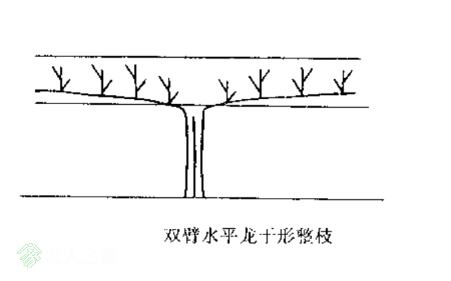 6361802589582134948520508.png