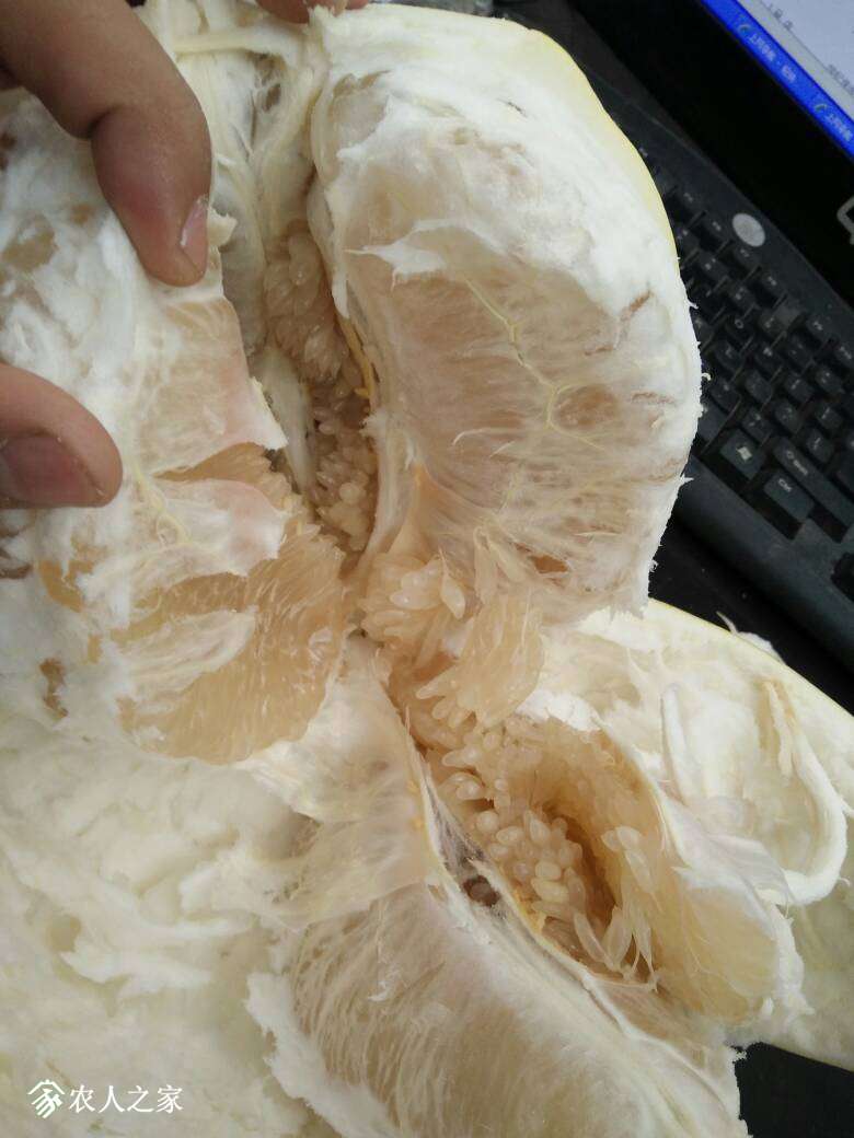 205743if4qygylofn5omcq.jpg