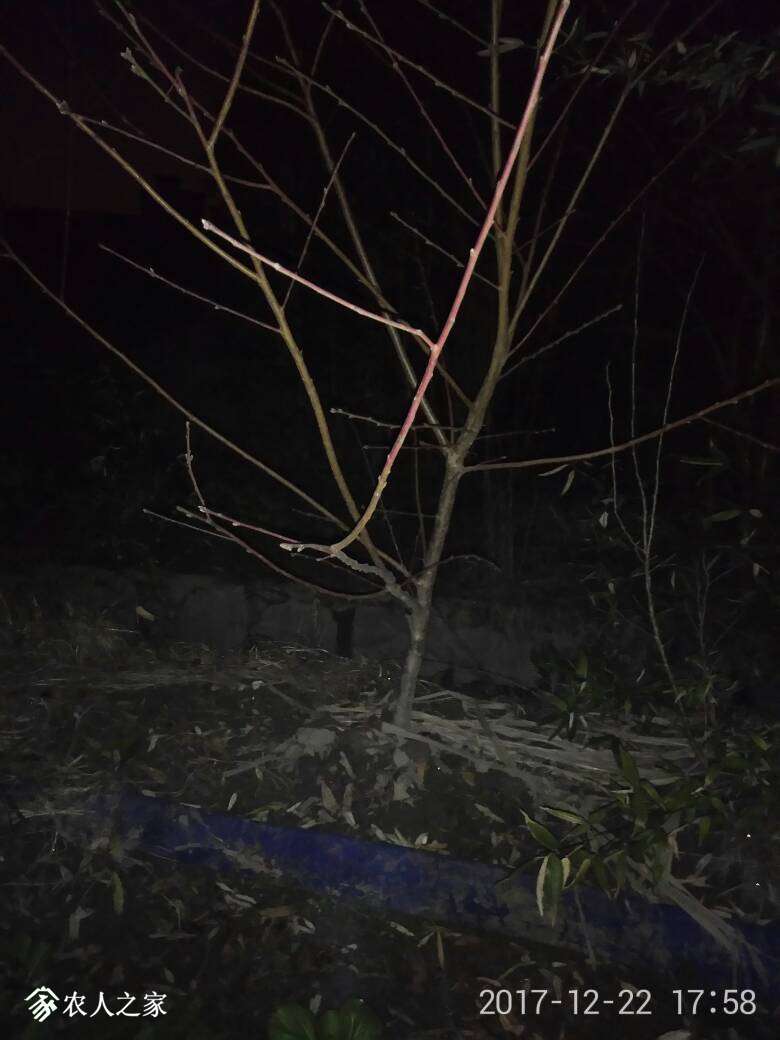 082202g7npz8mmk7minaa6.jpg