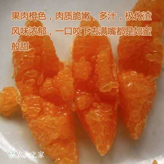 115854w9ly888blz6yxs9g.jpg