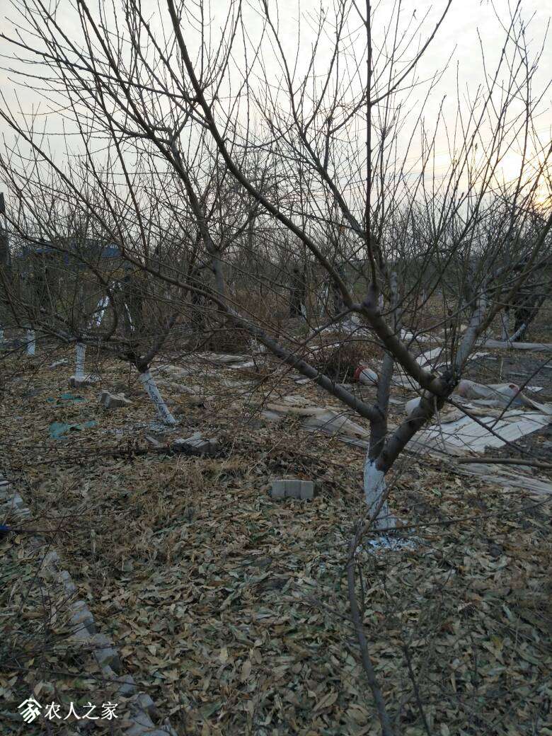 221554zjcebev8ku5v5lcb.jpg